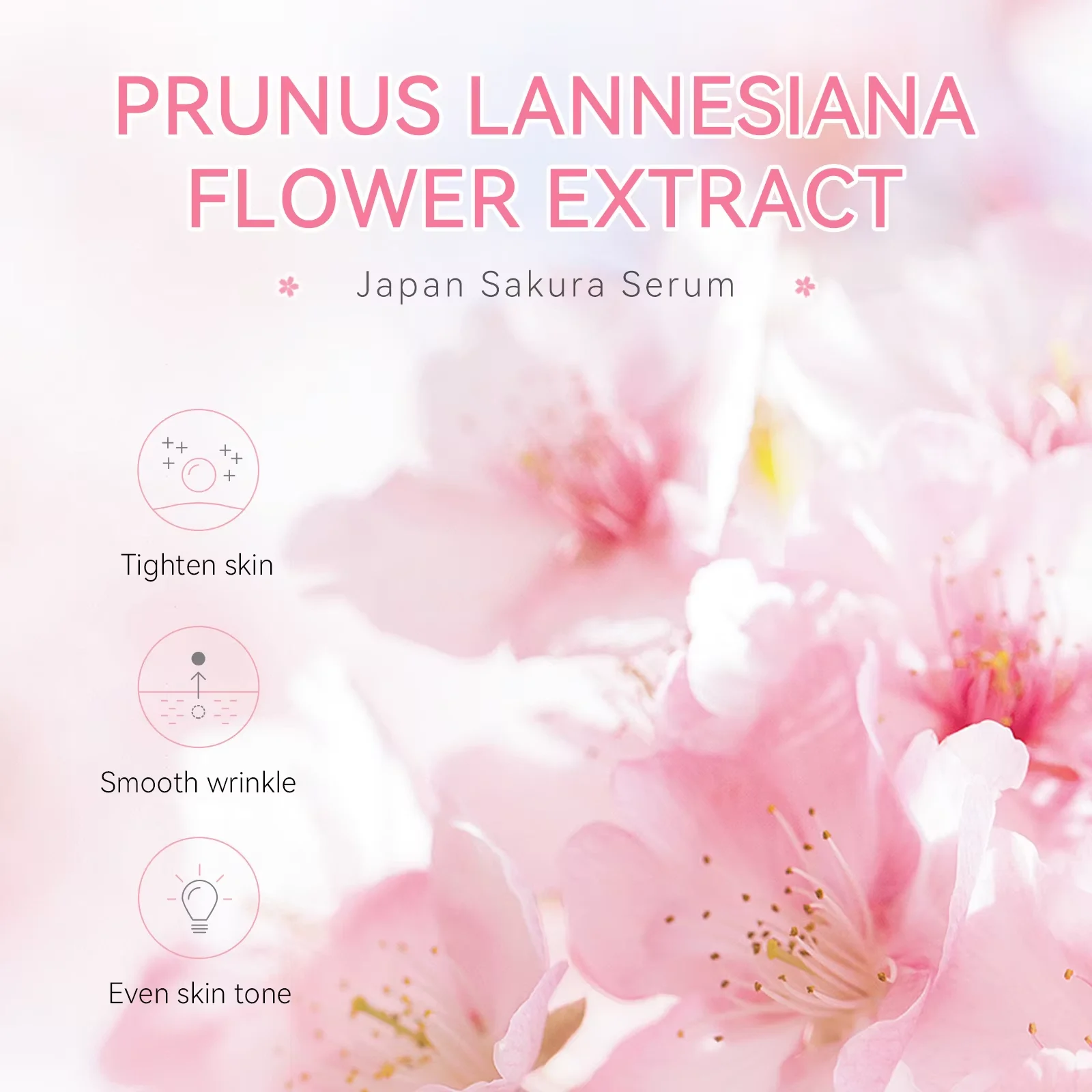 Sakura Whitening Face Serum An - đánh giá và giá Alpha Arbutin Serum